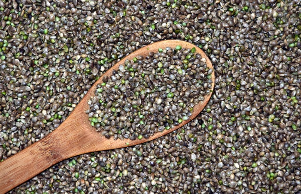 Jakie są zalety i wykorzystanie nasion konopi?